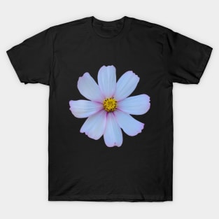 White Cosmo Flower T-Shirt